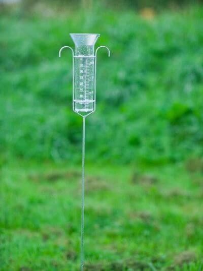 This ornate rain gauge fits into any garden